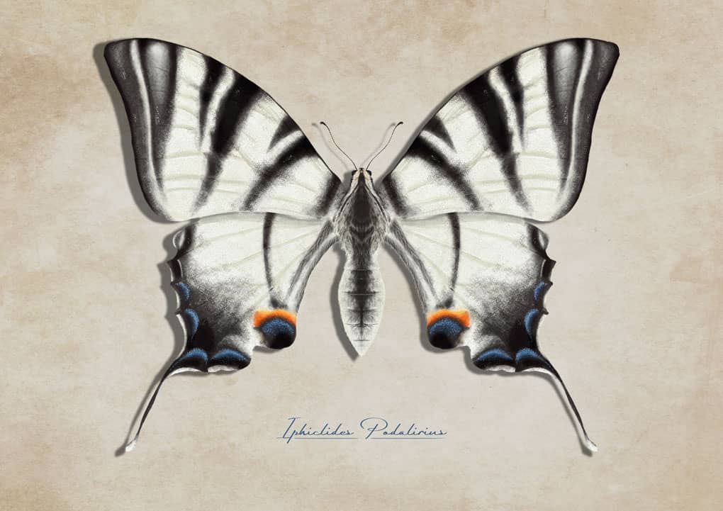 María Luisa Ramírez