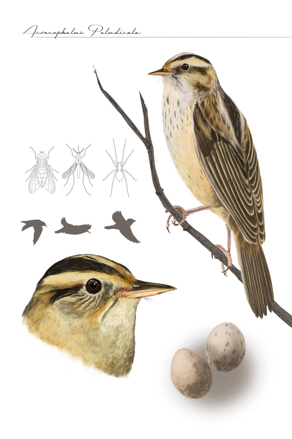 María Luisa Ramírez