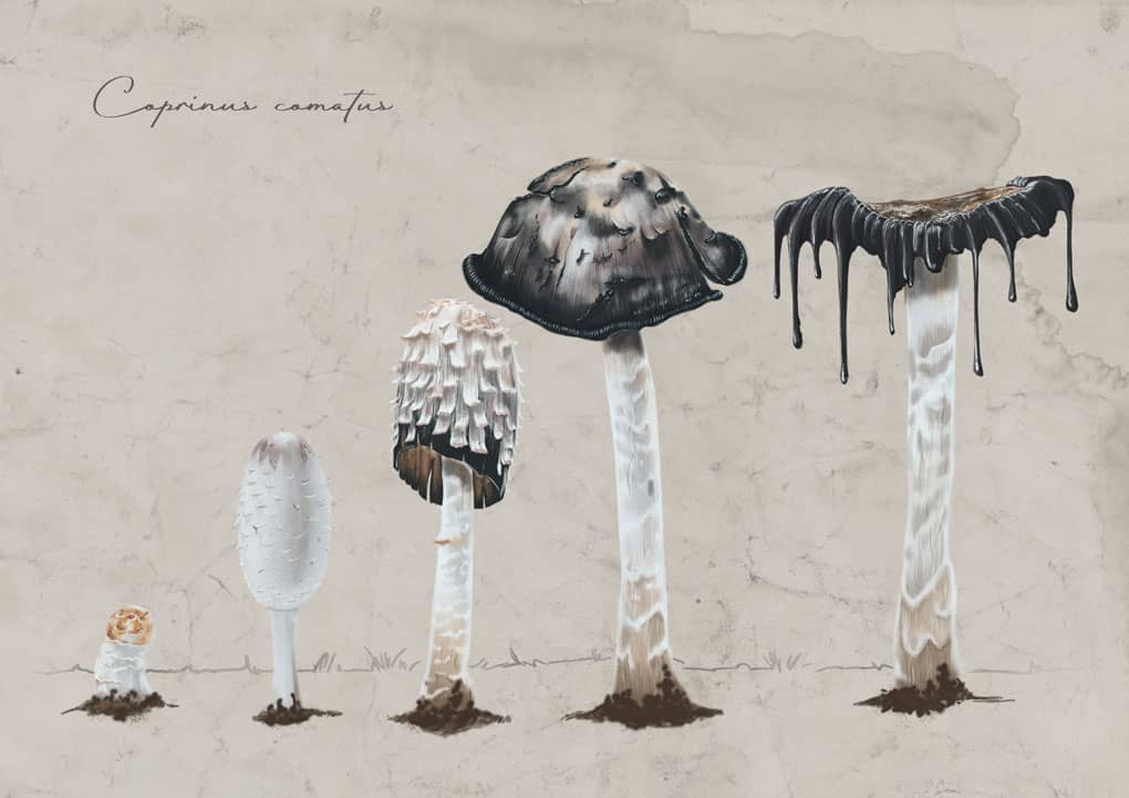 María Luisa Ramírez