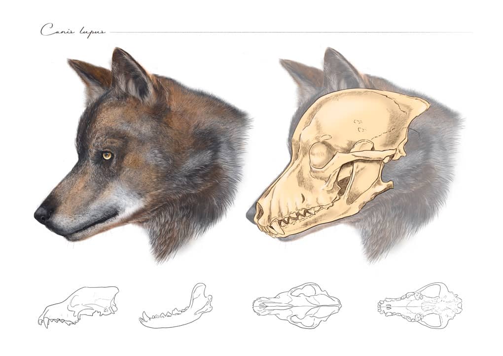 María Luisa Ramírez