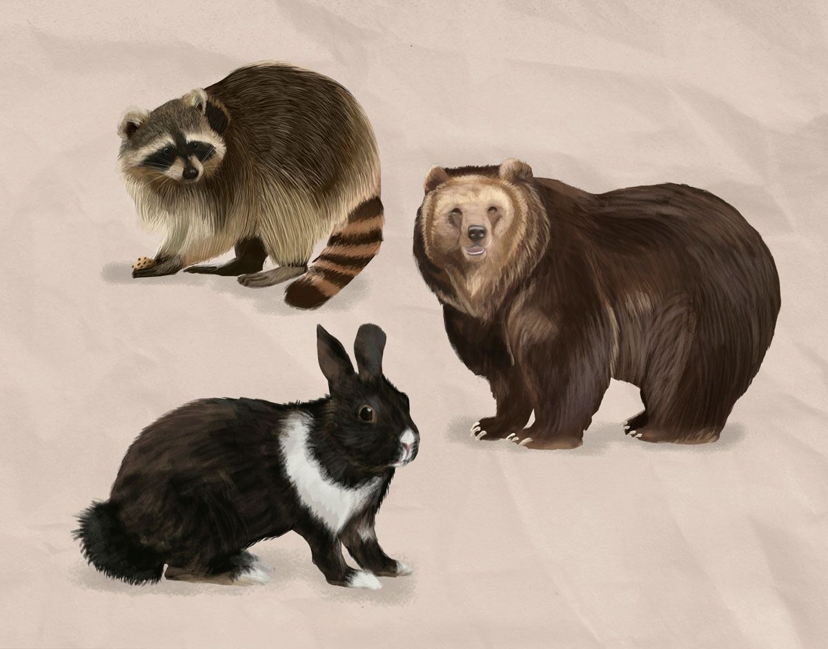 María Luisa Ramírez