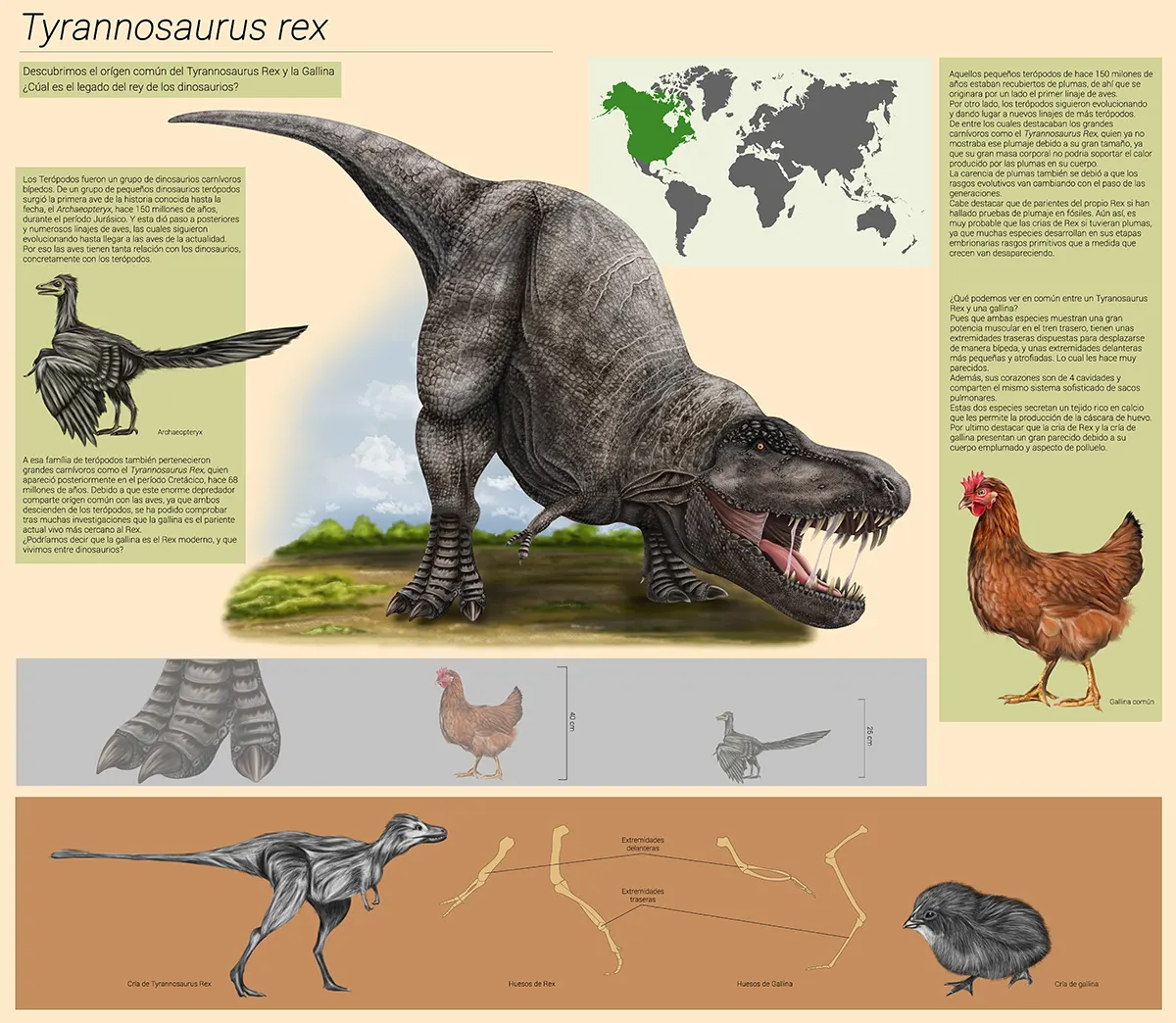 David Martin Ranchal David Martin Ranchal