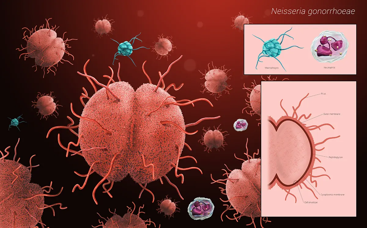 David Martin Ranchal David Martin Ranchal