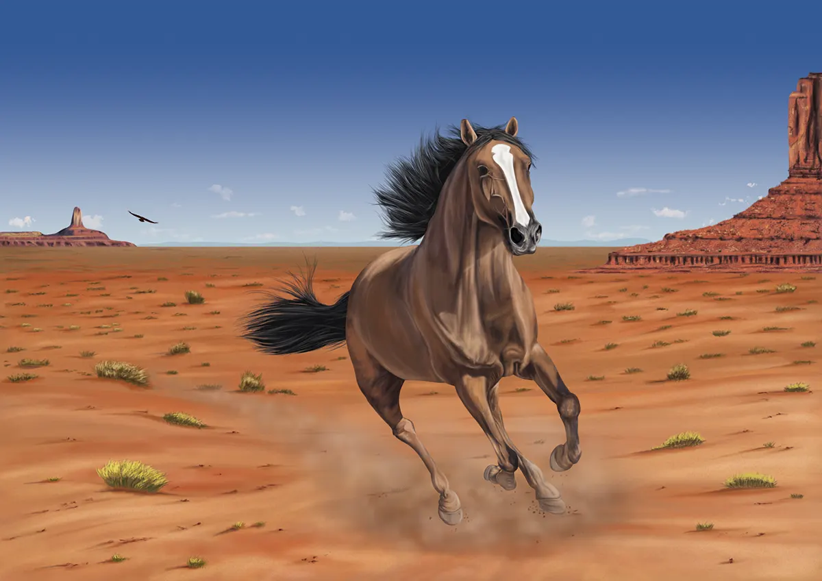 David Martin Ranchal David Martin Ranchal