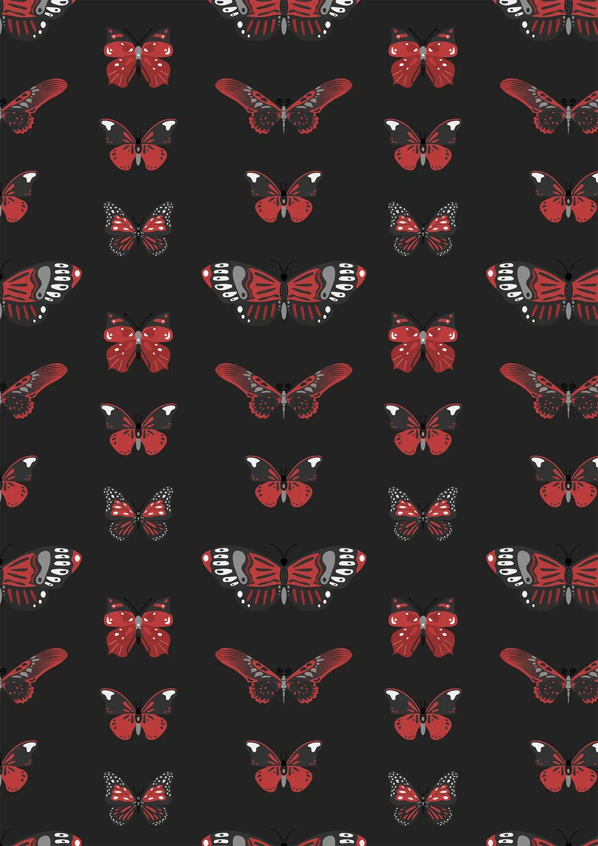 Ana Patricia Cachafeiro Morales