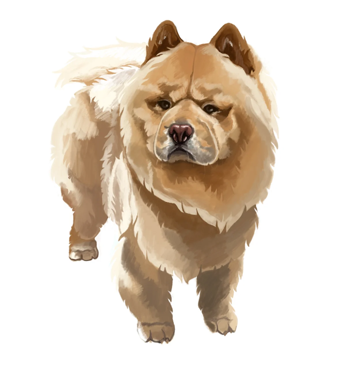 Ana Patricia Cachafeiro Morales