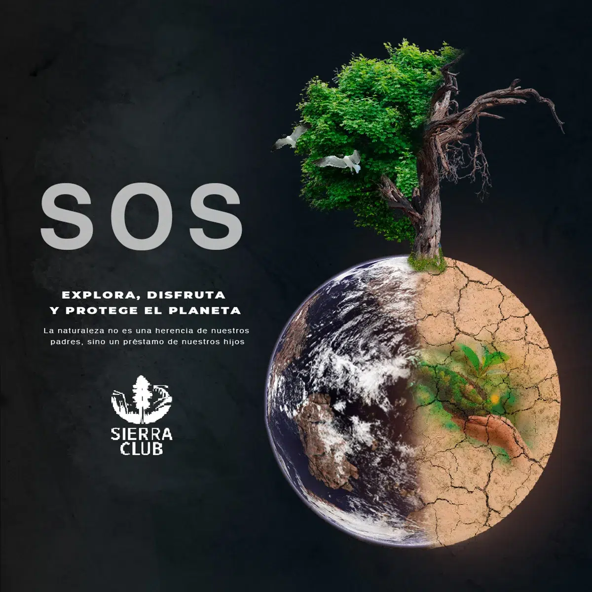 María Luisa Ramírez