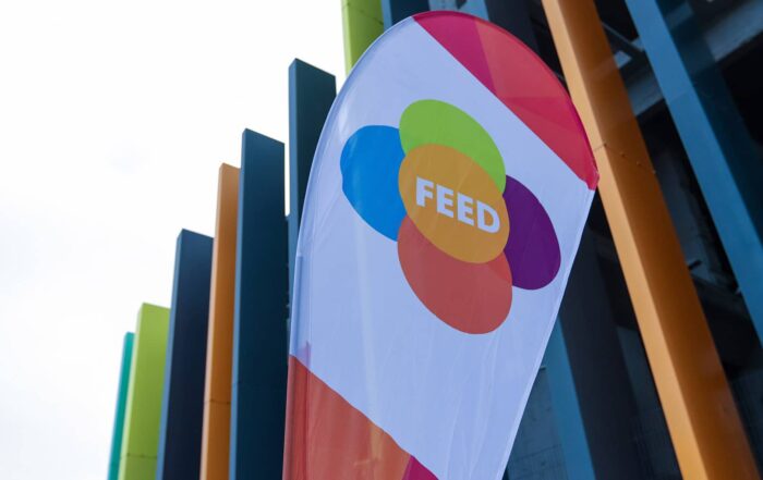 Feria de Empleo Digital - FEED