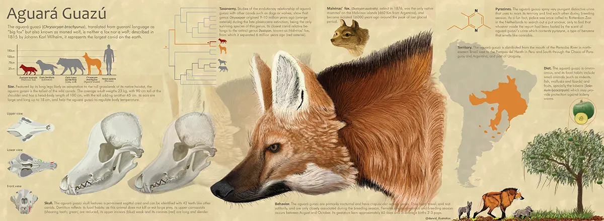 Jorge David Rojas Marquez