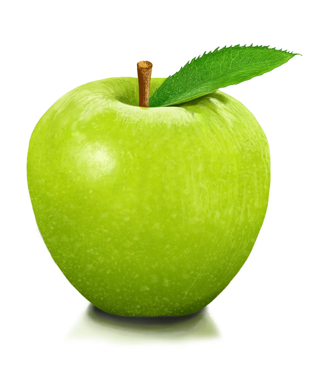 Jorge David Rojas Marquez