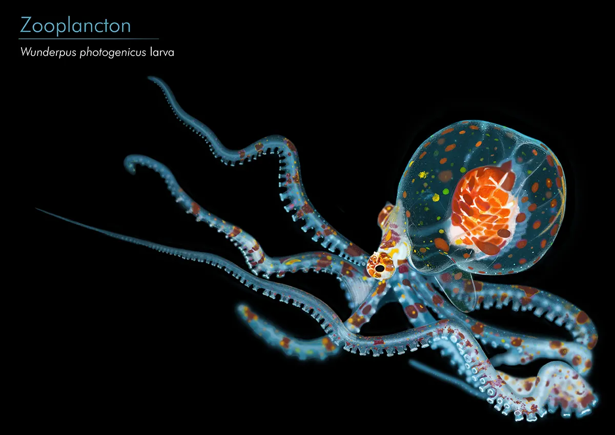 Jorge David Rojas Marquez