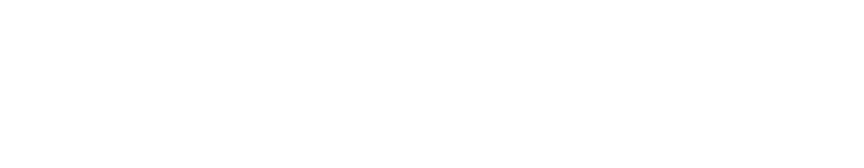 wise-logo-blanco