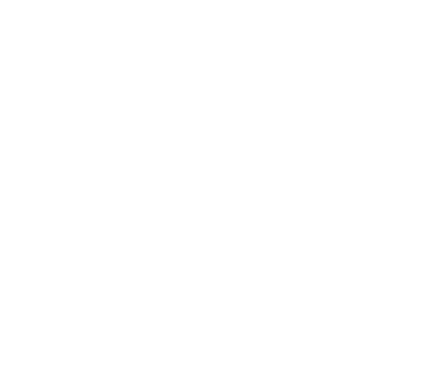 The Rookies