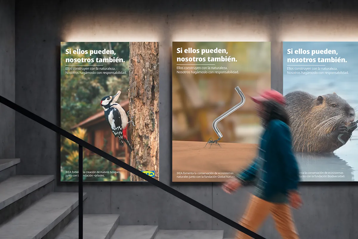 diseño gráfico