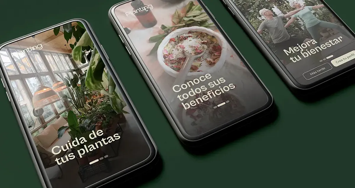 desarrollo web