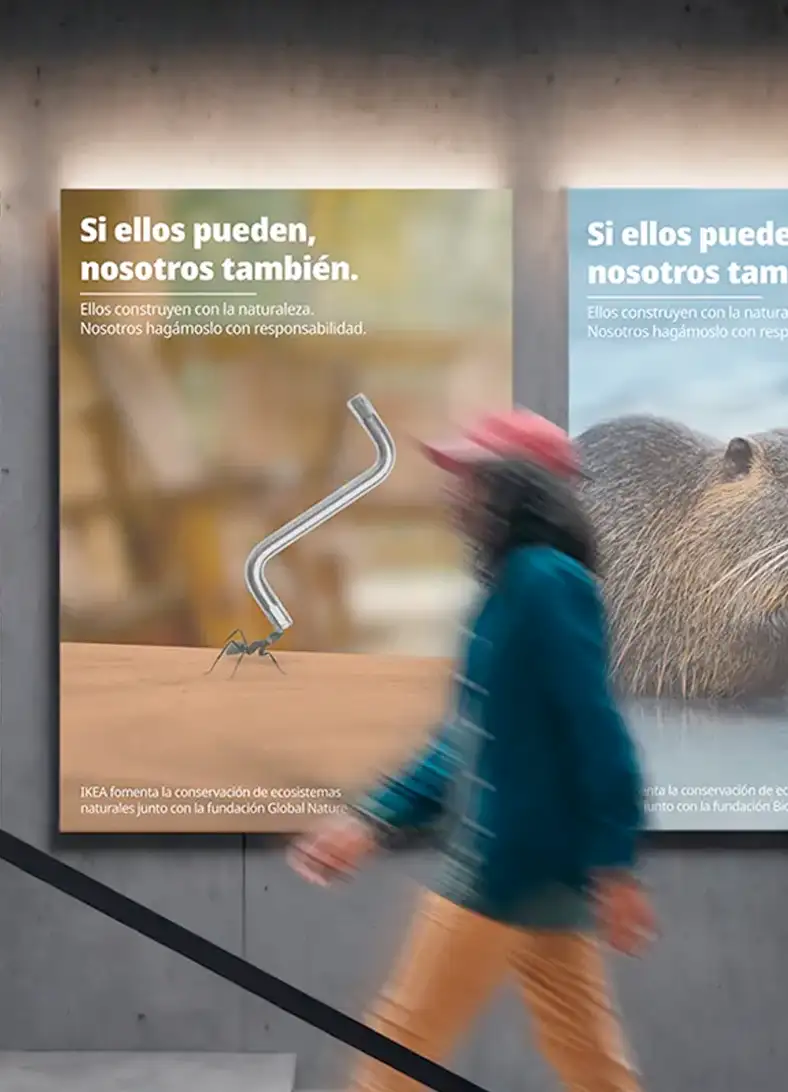 Cada proyecto cuenta