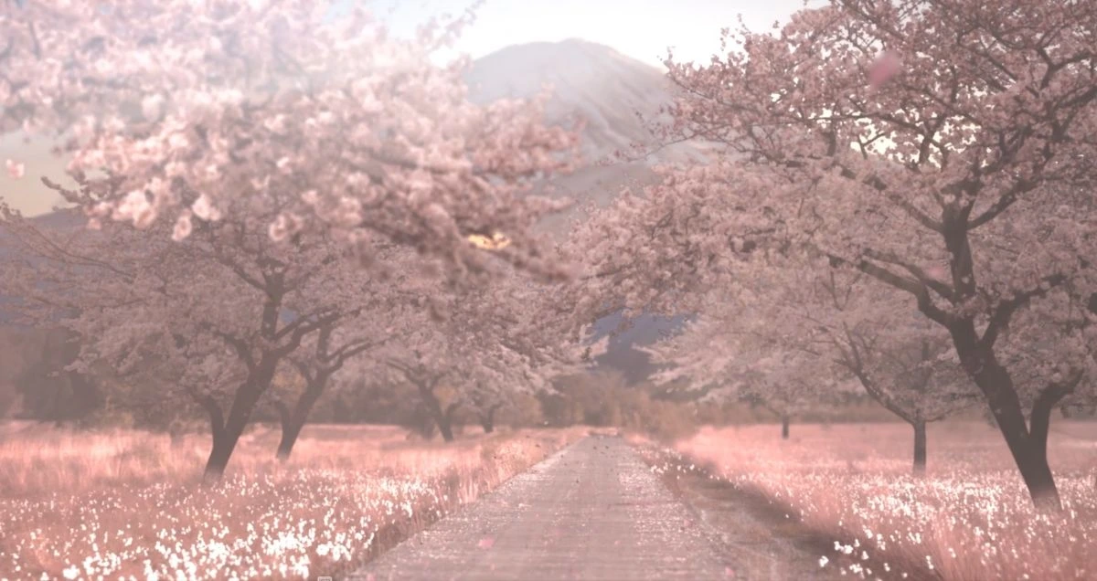 Composición Digital Para Creativos: Técnicas Que Realmente Dan Resultados