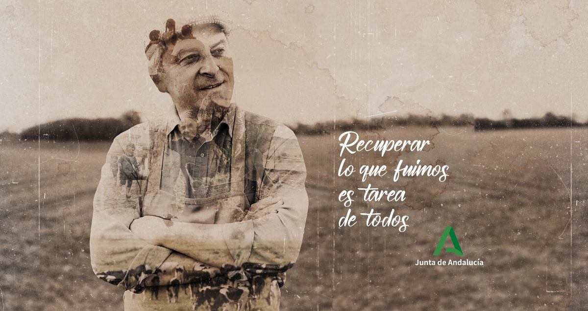 Diseño-sin-título-_3_ diseño grafico