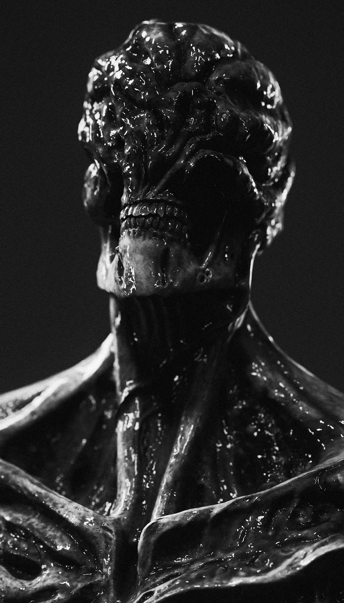 Noelia Ayelen Noelia Ayelen