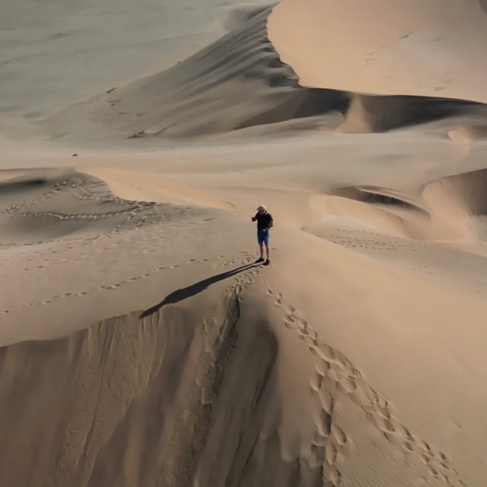 Alumnos de composición