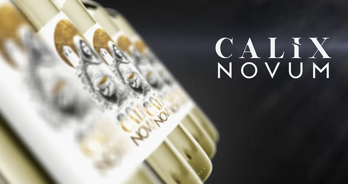 De alumno a Junior: Cómo sobrevivir a tu primera semana en una agencia creativa