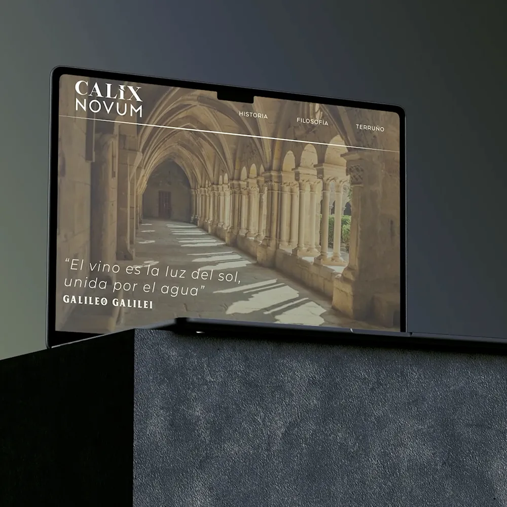 Raúl Salamero Fernández